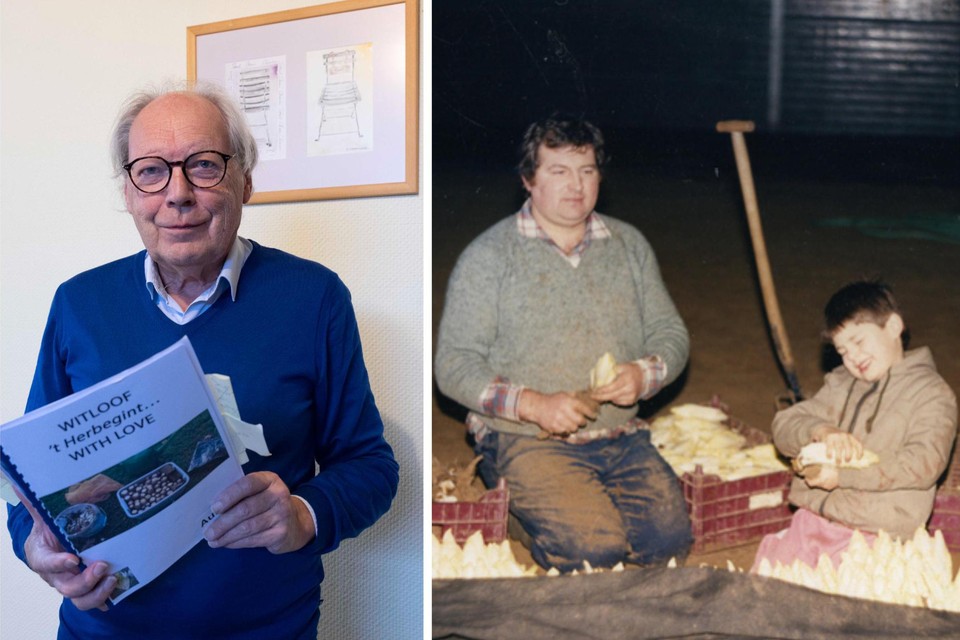 Lieven Latoir (70) schreef een boek over de opkomst en de teloorgang van de witloofteelt in de streek.
