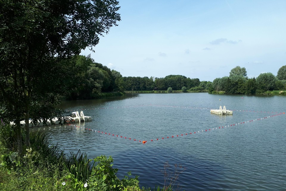 In 2019 werden de vijvers van Neerpede al eens uitgetest om te zwemmen. 