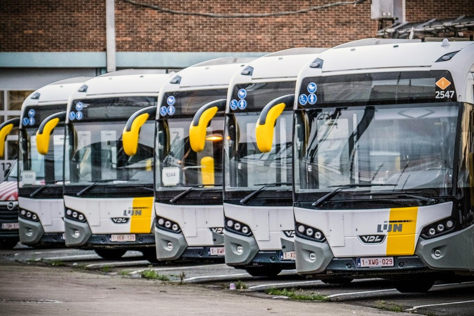 actrice mentaal vervagen 200 extra gratis bussen voor Ros Beiaardommegang (Dendermonde) | Het  Nieuwsblad Mobile