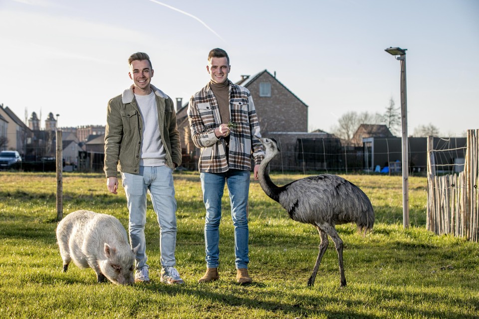 In hun nieuwe huis hebben Jonas en Barteld nog meer ruimte voor hun dieren, zoals een varken en nandoes.