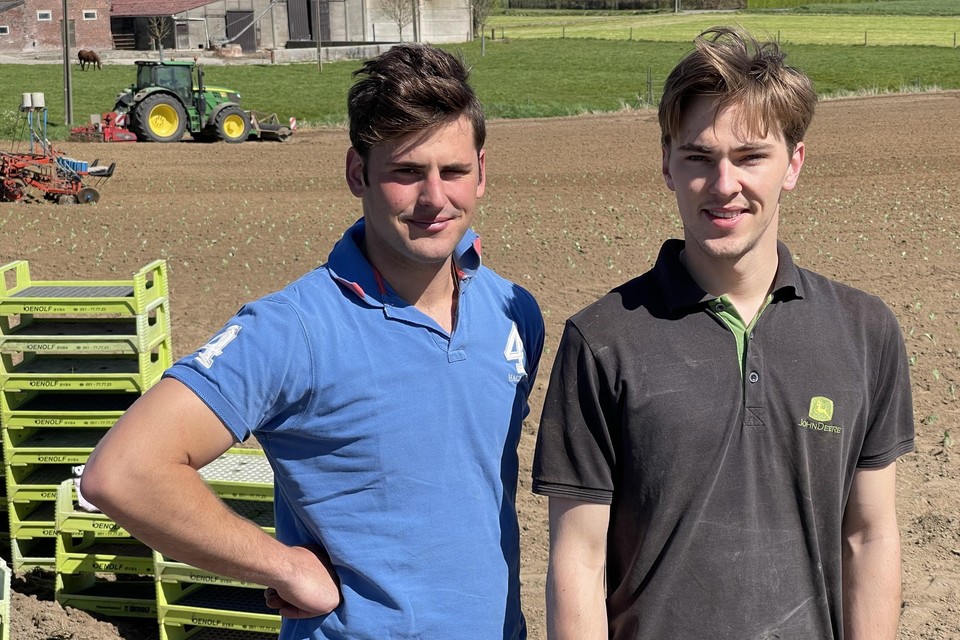 De negentienjarige tweelingbroers Charles (rechts) en Henri Rooze. Achter hen trekt hun opa al een andere rotoreg door de akker.