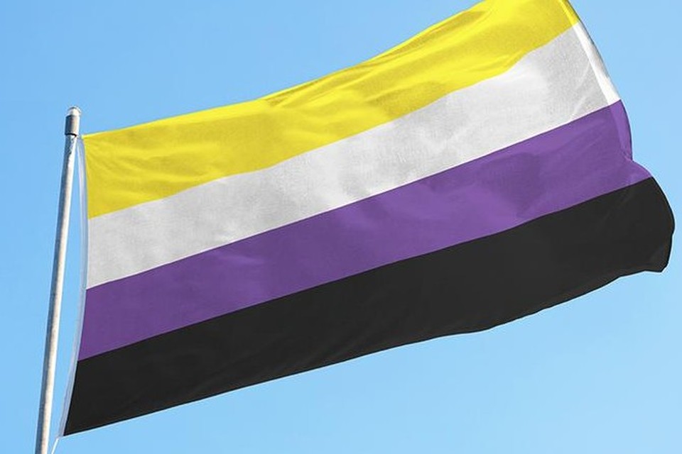 Dit is de non-binaire vlag die volgende week gehesen wordt aan het  stadhuis in Gent. 