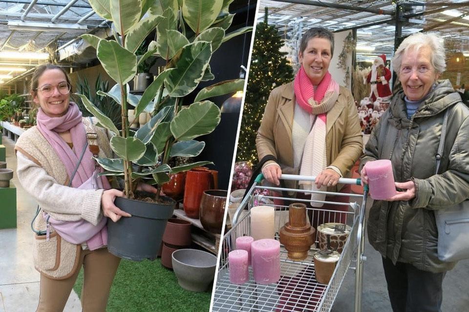 duizend Zelden Afscheiden Totale uitverkoop lokt massa koopjesjagers naar tuincentrum Atelier Van  Gastel, dat na 45 jaar sluit: “Ik ga deze winkel missen” (Schoten) | Het  Nieuwsblad Mobile