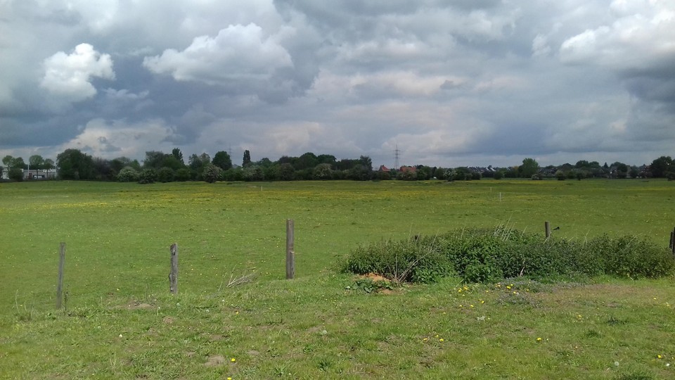 Op de Fortvlakte grazen nu meestal paarden en huppelen vaak konijnen. Maar een levendige natuur ziet het er niet uit.
