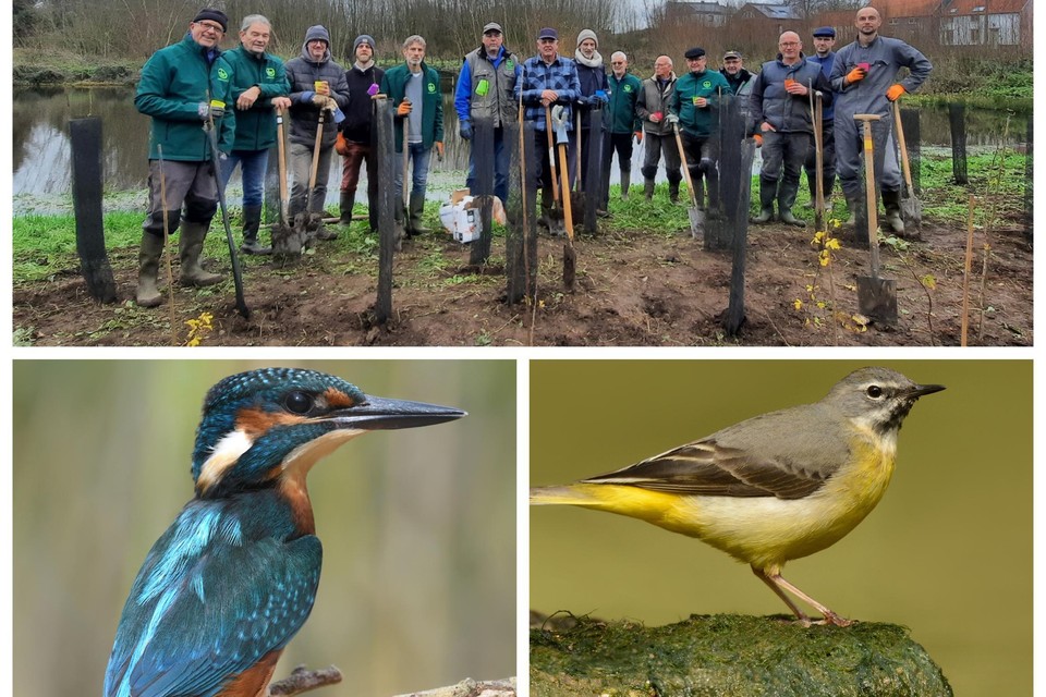 Vrijwilligers aan het werk bij de Neerkamstraatvijver, waar de ijsvogel en de grote gele kwik een nieuw thuis vonden.