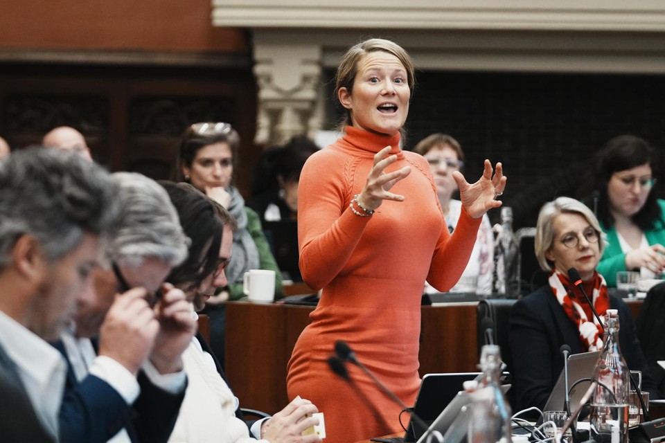 Anneleen Van Bossuyt (N-VA) wil een oproep naar creatieve en haalbare voorstellen. “Dit is een gemiste kans.”