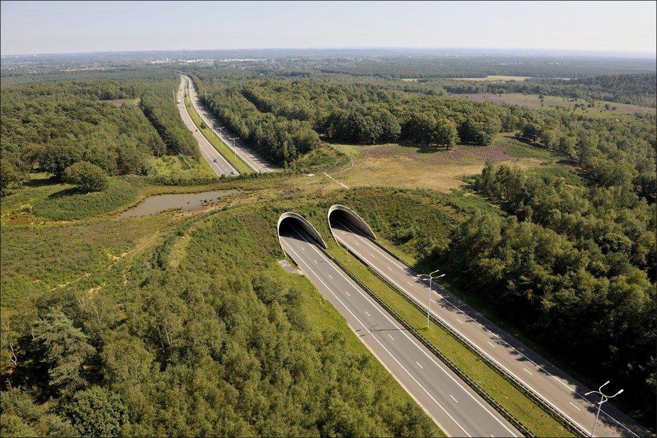 Ecoduct Kikbeek 