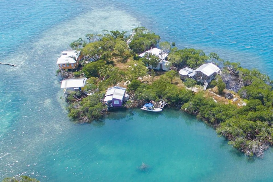 Kwelling Oceanië betrouwbaarheid Op zoek naar iets anders? Volledig Caraïbisch eiland te koop voor de prijs  van één huis | Het Nieuwsblad Mobile
