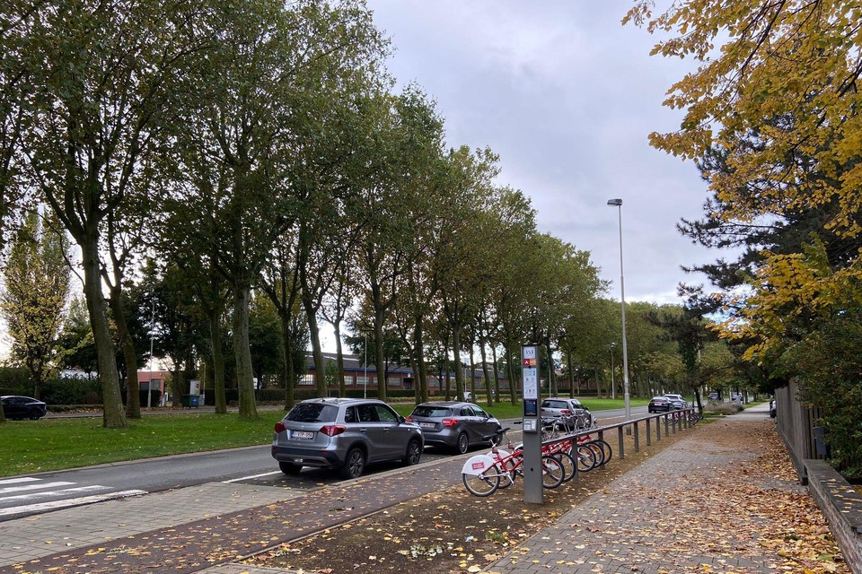 De feiten dateren van 26 september aan de Beatrijslaan op Linkeroever.