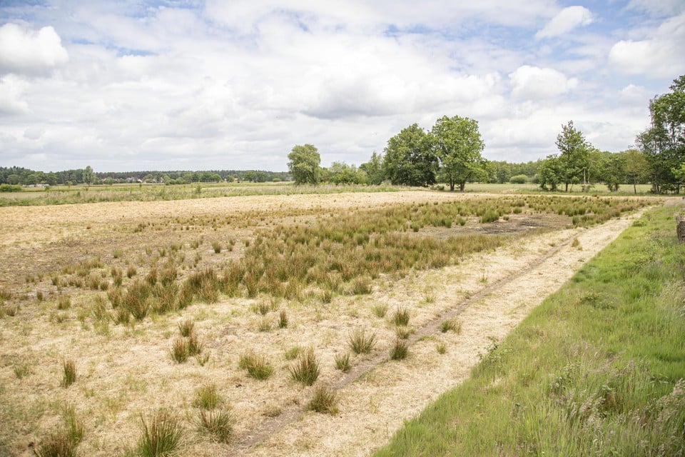 Exceptionally dry spring months: the second lowest precipitation amount ever