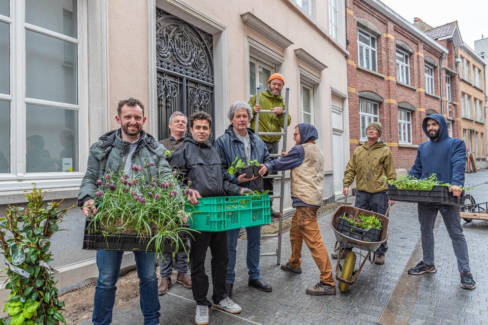 Aan de gevels van de woningen in het historische centrum van Kortrijk liggen al elf tuinen.