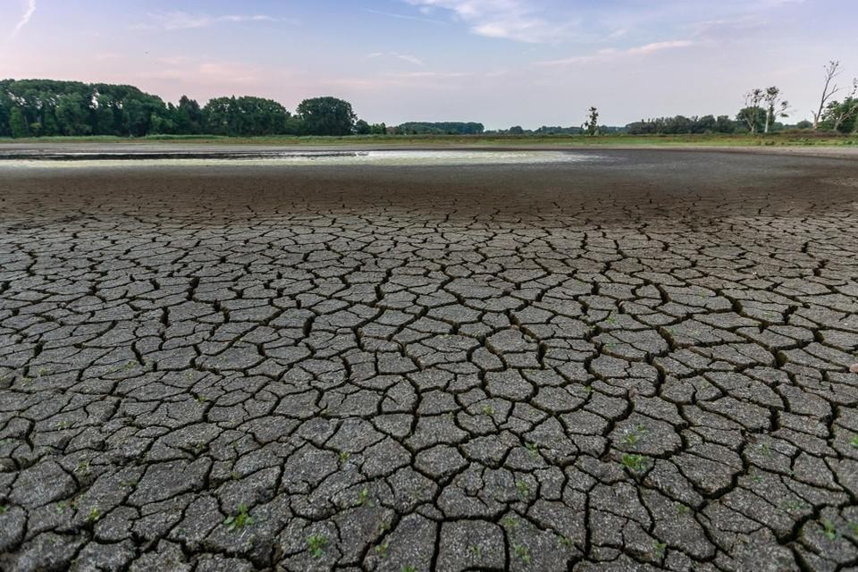 De zomer van 2018 zorgde voor grote droogte, ook in de Bourgoyen. 