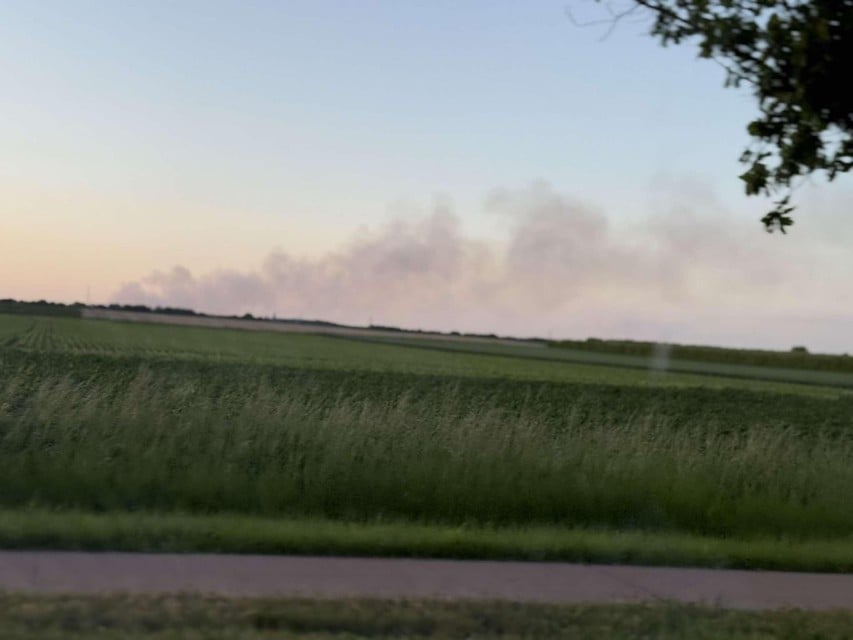 Bosbrand Maasmechelen