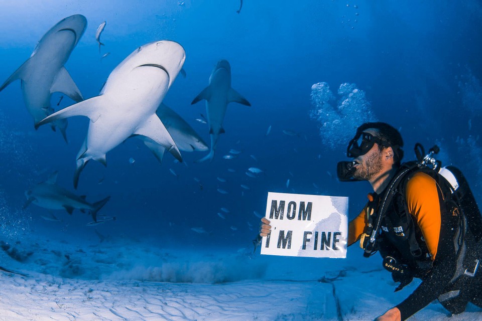 Jonathan Kubben tussen de haaien: “Hey, mams, alles kits!”