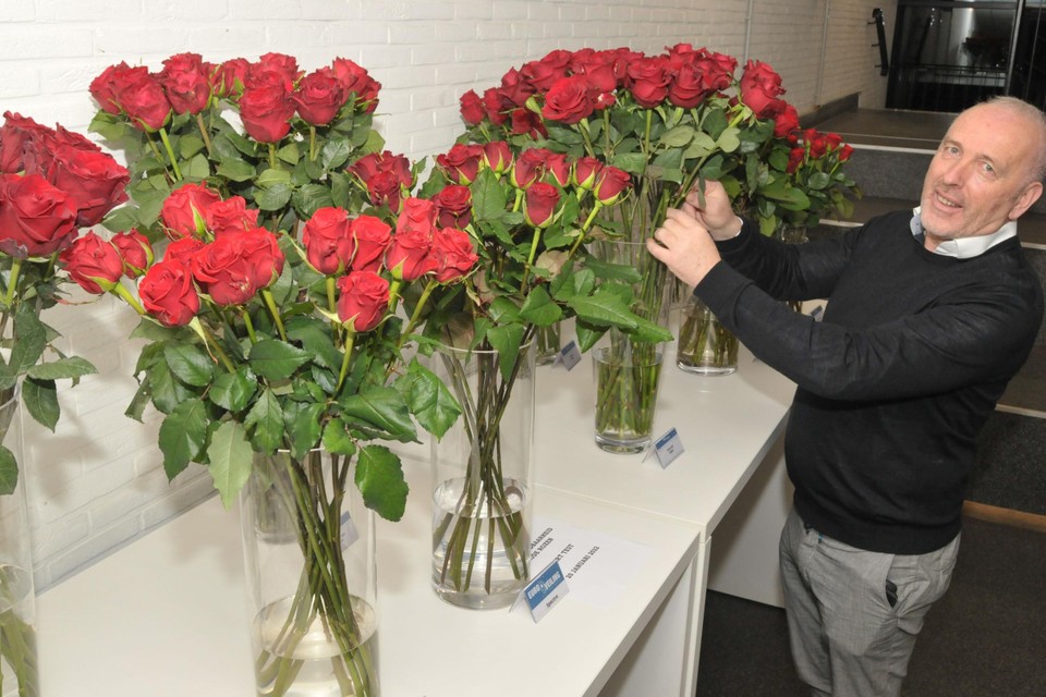 De roos is dé bloem van de liefde, Koen Van Malderen zet de verschillende soorten op een rijtje. 