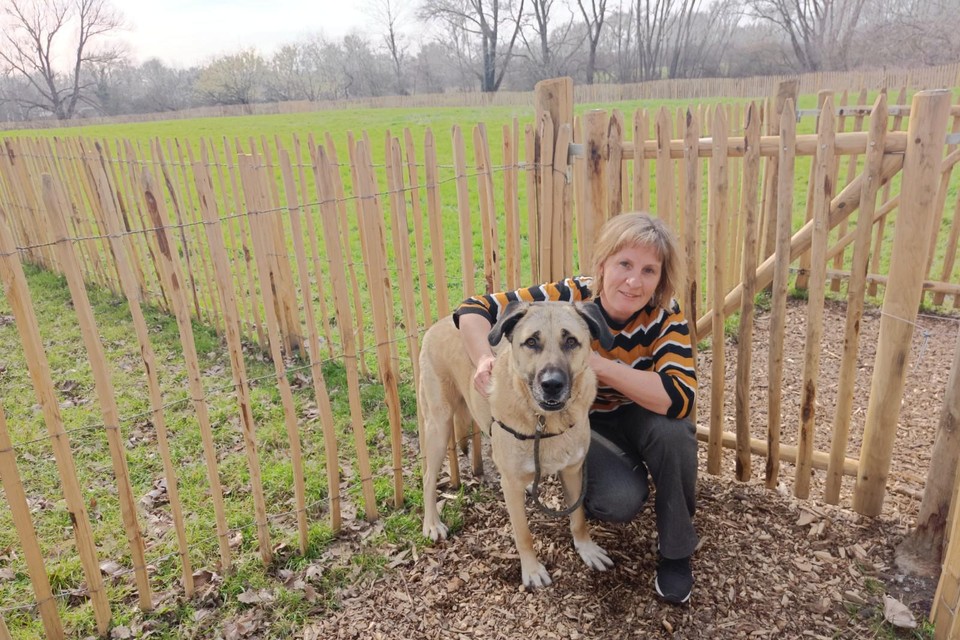 Schepen Marleen Van den Eynde verkent met haar asielhond Leon de nieuwe hondenuitloopzone.