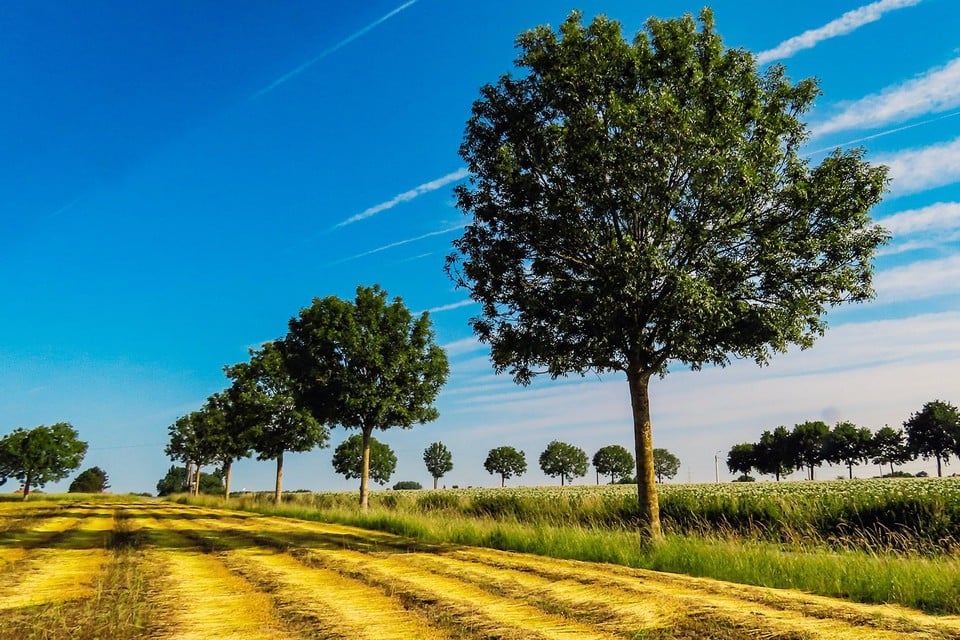 Weather forecast. Sunny start and possibly a thunderstorm end on hot Thursday
