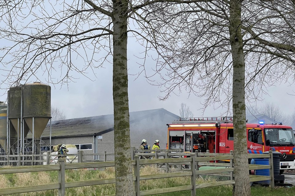 De brandweer bluste de uitslaande vlammen in de varkensstal in Wervik. 