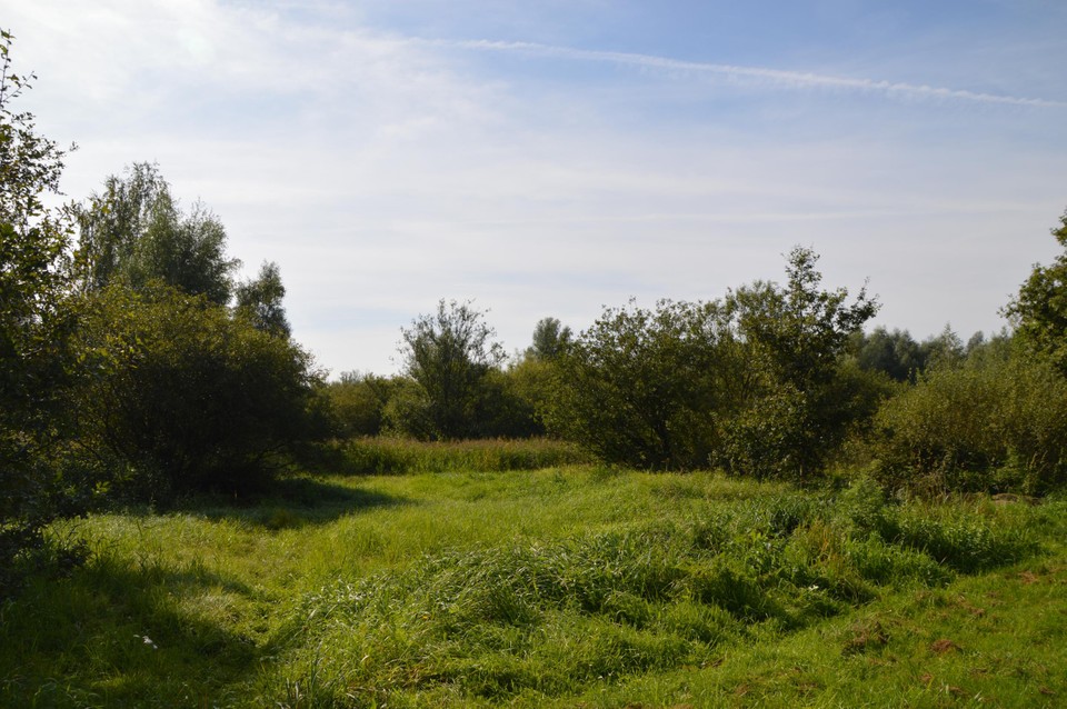 Het gebied waar het zomerklokje groeit, maar waar jammer genoeg ook oud bouwstort onder de grond zit.
