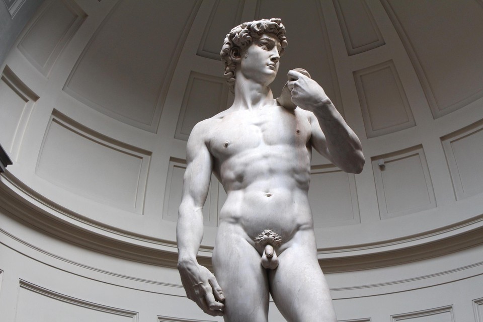 Het standbeeld David van Michelangelo is “pornografisch” volgens een Amerikaanse ouder.