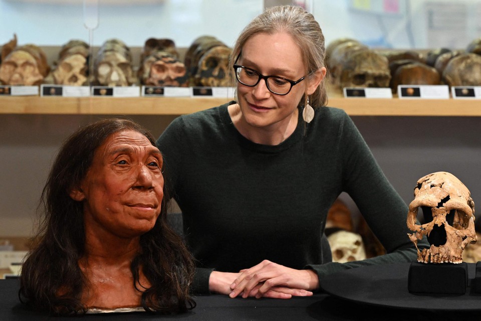 Dr. Emma Pomeroy bij de 3D-reconstructie van een neanderthalervrouw die zo’n 75.000 jaar geleden leefde.