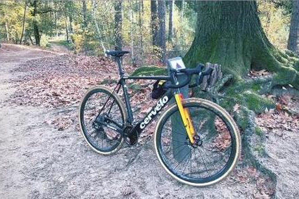 Wout van Aert stelt nieuwe cyclocrossfiets voor en traint in de bossen van Lichtaart | Het Mobile