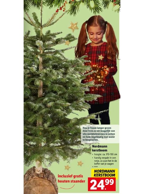 Bij Lidl koop je een kerstboom plus voet voor 24,99 euro 