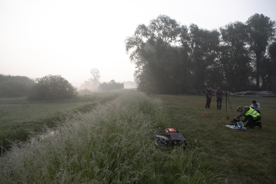 Het Viersels Gebroekt.