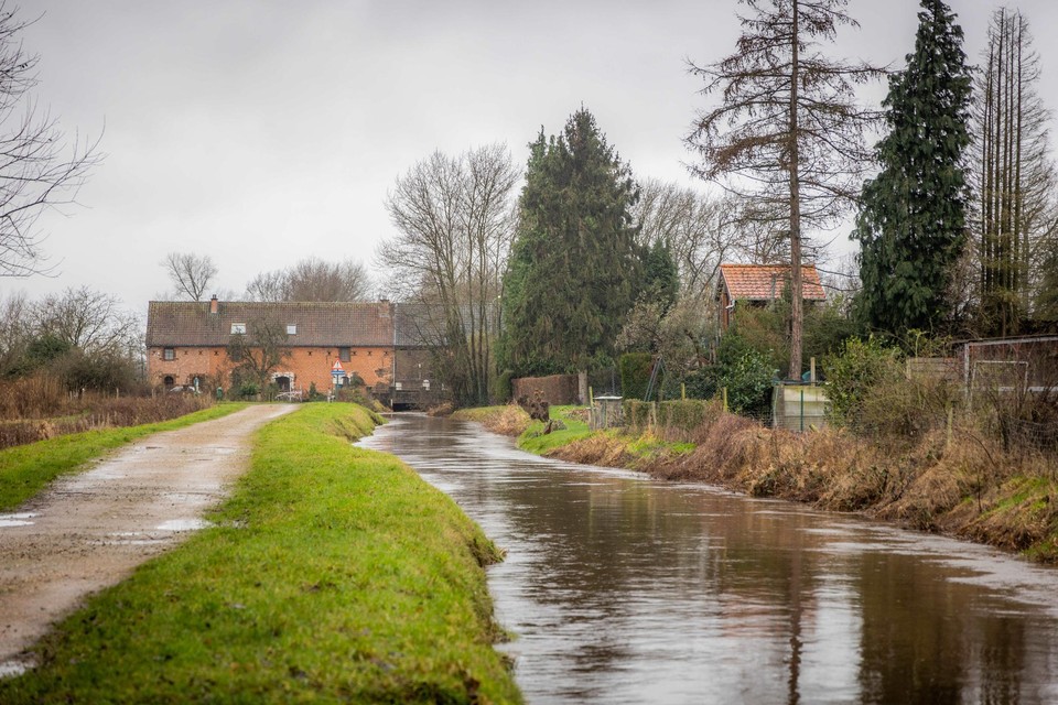 In Limburg gaat het water in tal van rivieren al tot of over het randje. Vooral de Mangelbeek in Lummen staat erg hoog.  