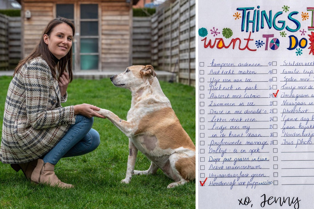 Mélody (33) maakt bucketlist voor terminaal zieke hond Jenny: “Haar laatste  maanden moeten onvergetelijk zijn” (Moorslede) | Het Nieuwsblad Mobile