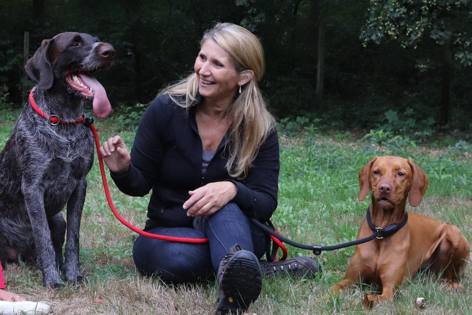 Hondengedragstherapeute Gitte Nys met haar eigen honden. 