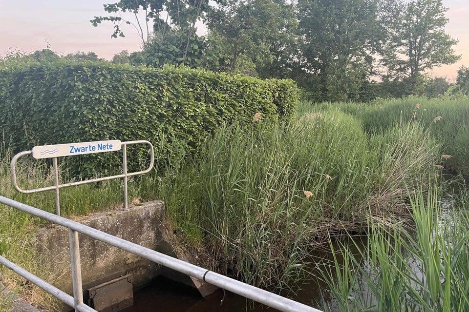 63-year-old man died after he ends up in Zwarte Nete (Retie) with mowing ractor