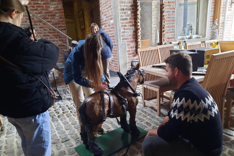 In het Hof ter Haegen in Vollezele kon men een paard leren optuigen.
