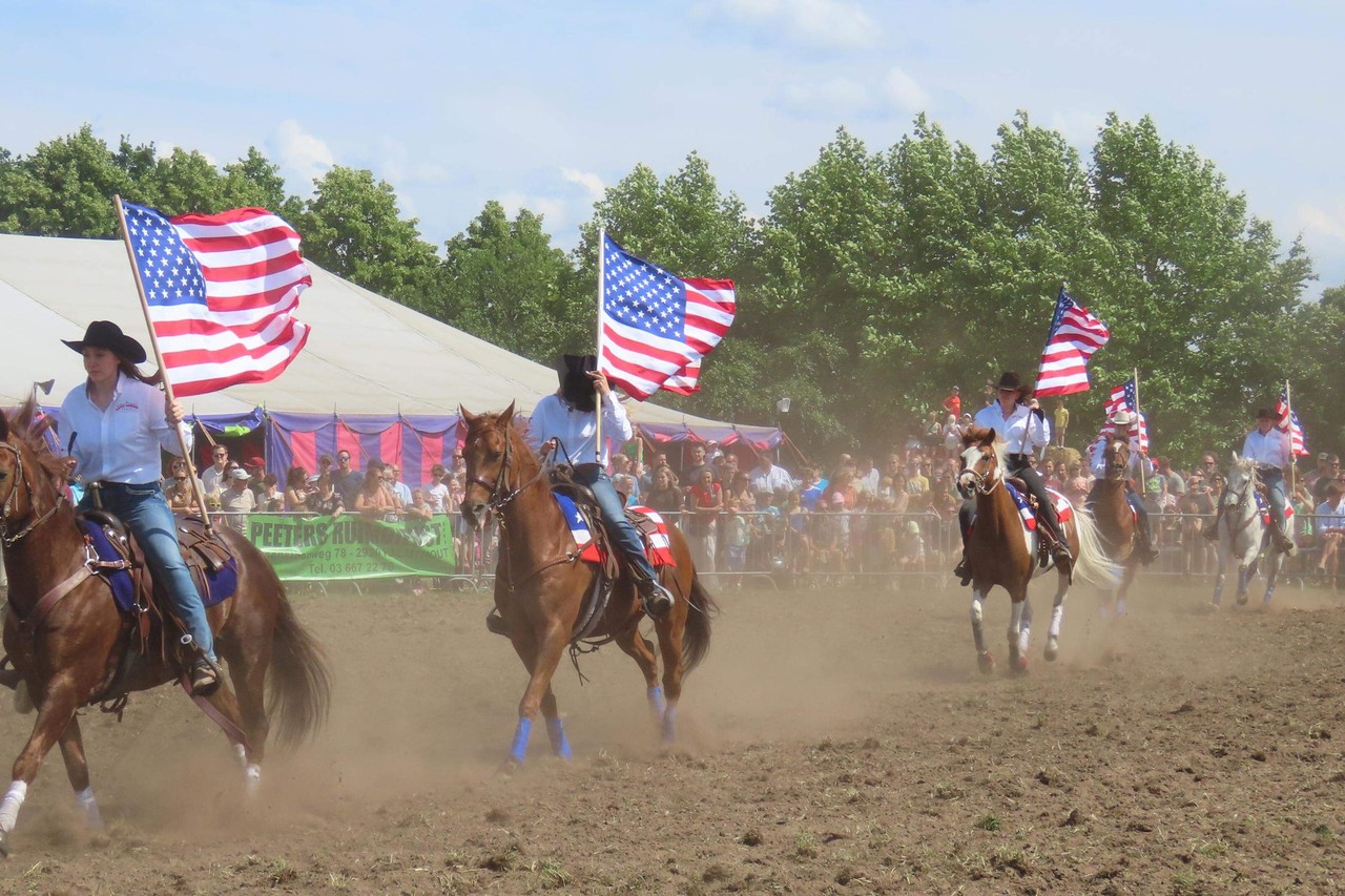 Gipsy Horses stelen de show op topeditie van de Hoevefeesten (Kalmthout ...