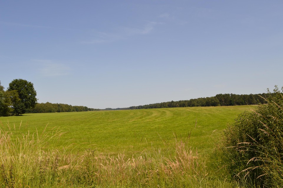 De kop van de startbaan met de uitgestrekte weilanden.
