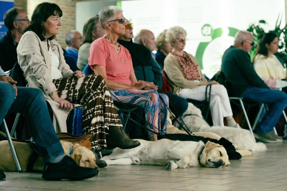 handing over 24 blindly guided dogs to their owner Copyright Raymond Lemmens