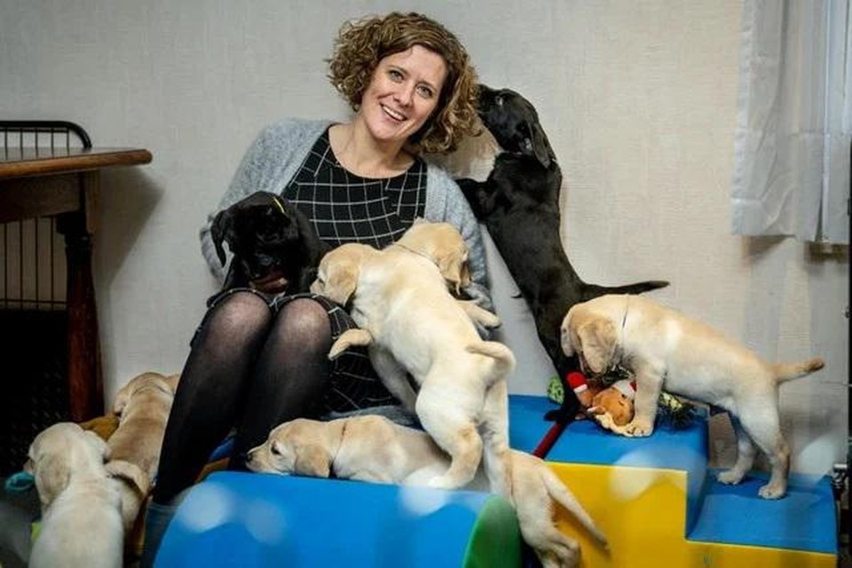 Mieke Uyttendaele van het Belgisch Centrum voor Geleidehonden: “Wij organiseren helemaal geen deur-aan-deurverkopen.” 
