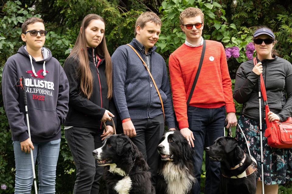 De vzw Dogs4Blind helpt slechtzienden al sinds 2012 aan een blindengeleidehond.