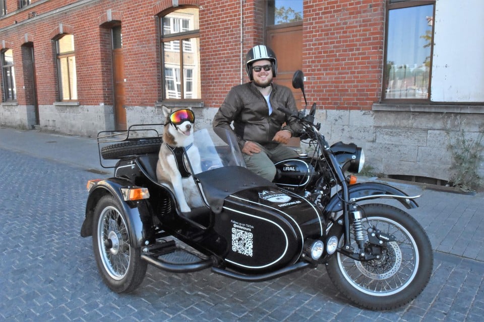 Maarten Mollie heeft heel wat bekijks als hij met zijn zijspan én husky door Kortrijk toeft. De toeristische rondritten die hij organiseert zijn zo succesvol dat hij er nu ook in Gent en Brugge wil organiseren.