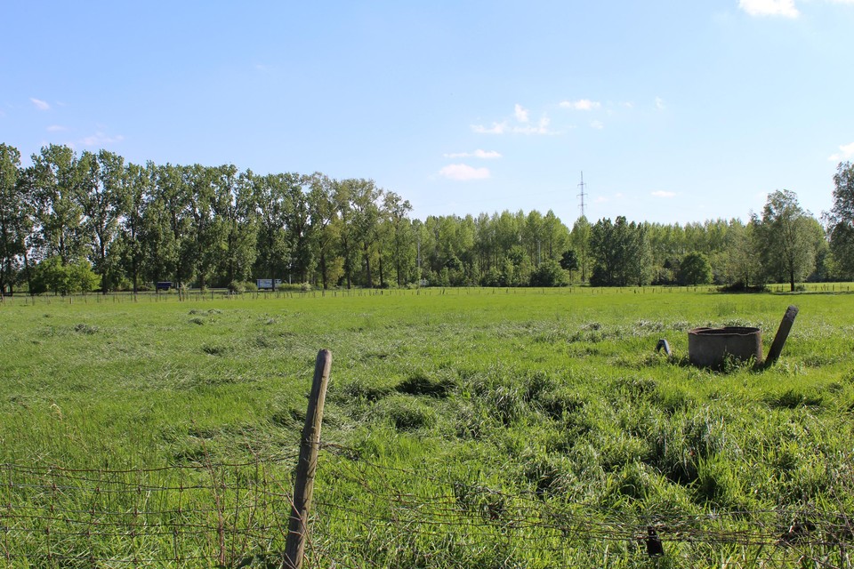 De Stad Gent wil 140 ha landbouwgrond verkopen.
