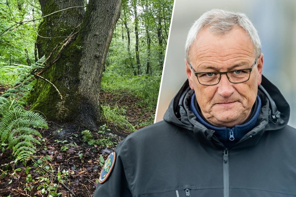 Alain Remue, hoofd van de Cel Vermiste Personen, legt uit hoe plots twee personen het lichaam van Jürgen Conings konden vinden.  