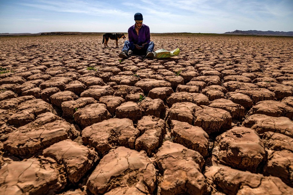 De hoge temperaturen brengen ook de landbouw, die van vitaal belang is voor de Marokkaanse economie, in de problemen.