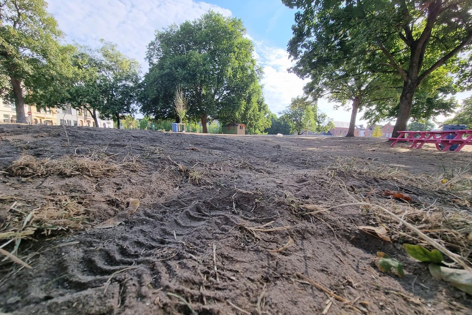 Het pas vernieuwde Baudelopark is na de Gentse Feesten herschapen in een woestijn vol zand. Op enkele plekken zie je nog restanten van het gras