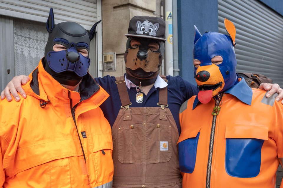 Puppy’s Rufus, Muppy en Patrick, mogelijk ook werkzaam als gemeentearbeiders