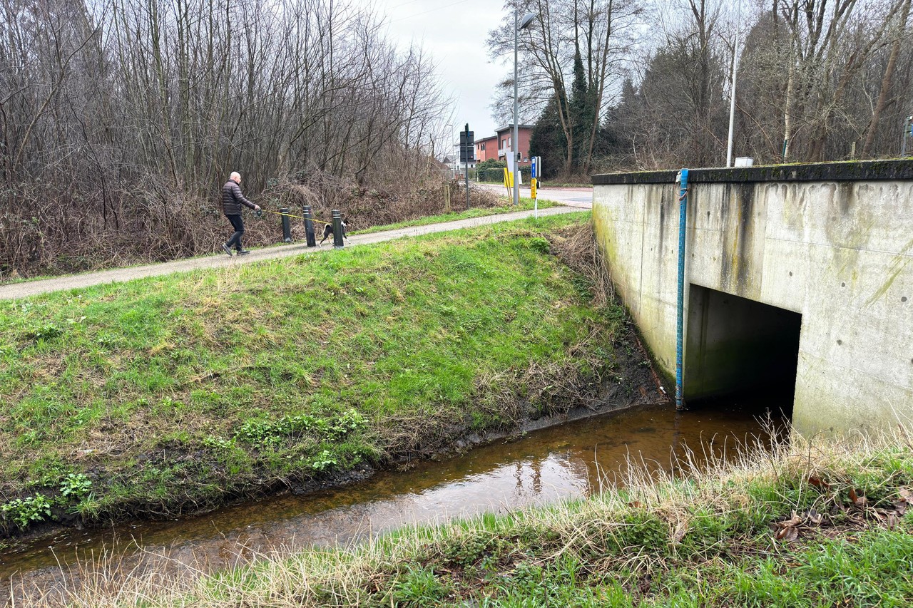Kwaliteit Stiemerbeek beter, maar nog lange weg te gaan (Genk) | Het