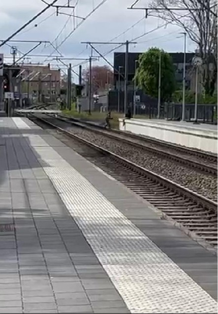 De spoorlopers in het station van Veurne