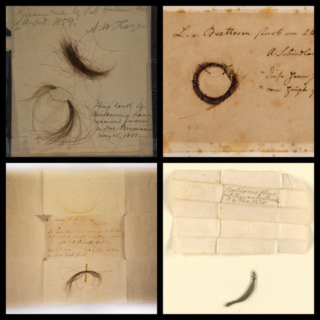 Enkele van de haarlokken die meer inzicht gegeven hebben in de stamboom van Ludwig van Beethoven.