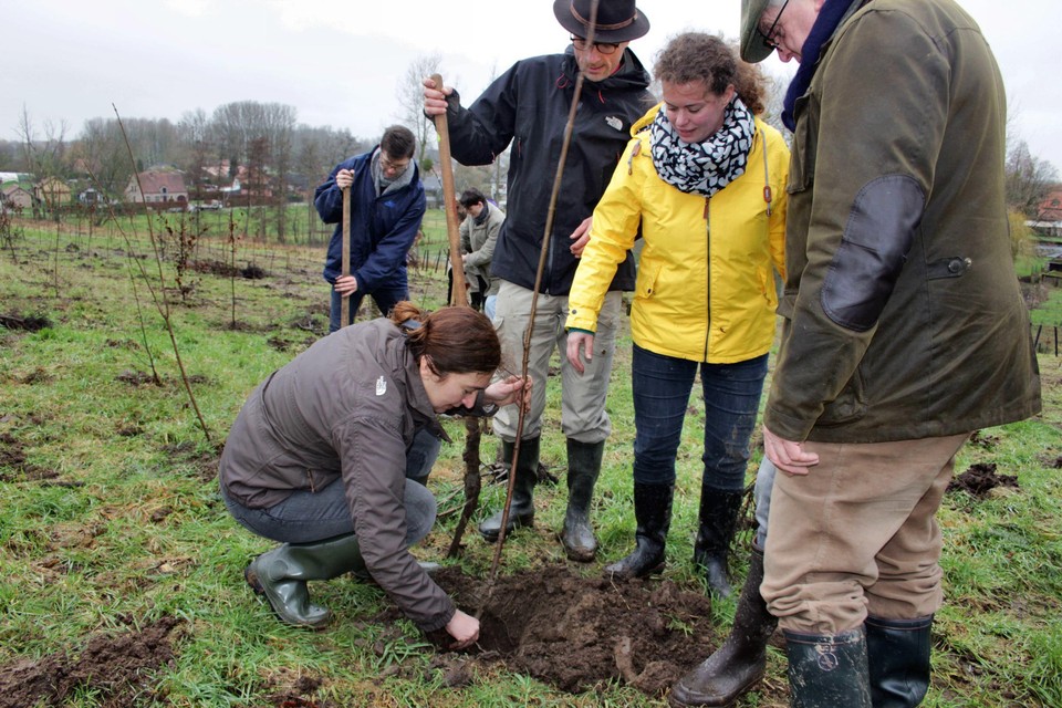 Archiefbeeld: Vlaams minister van Omgeving Demir plant een boom. 