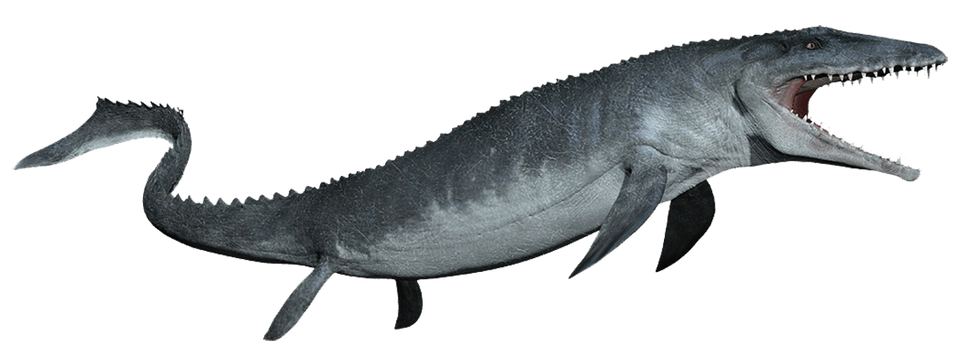 Zo zag een mosasaurus er ongeveer 65 miljoen jaar geleden uit.