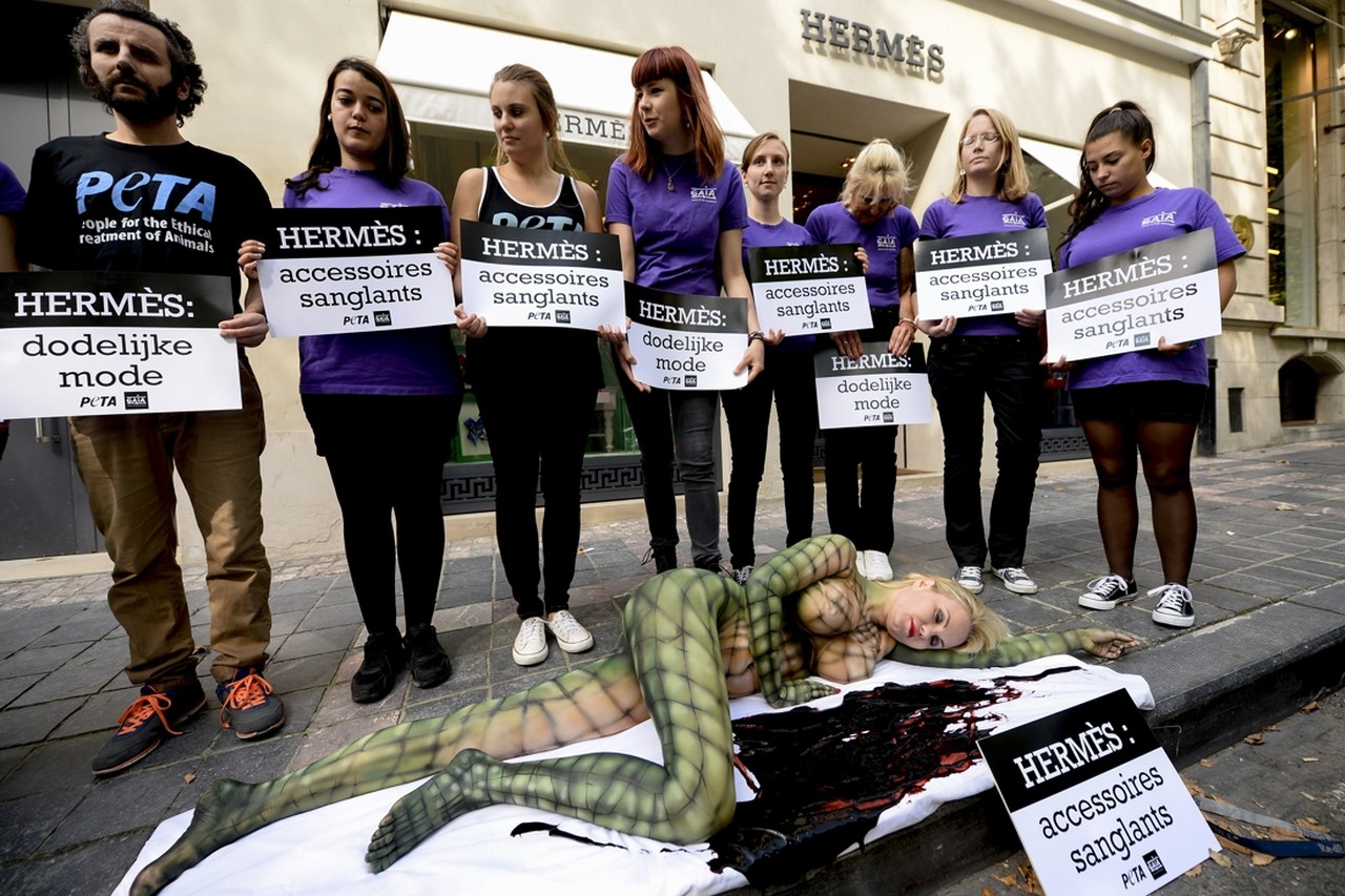 Lesley-Ann Poppe protesteert als krokodil tegen wrede slachtpraktijken |  Het Nieuwsblad Mobile